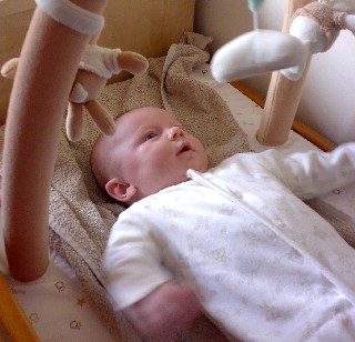 Alex : 8 Weeks