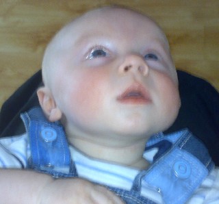 Alex : 13 Weeks