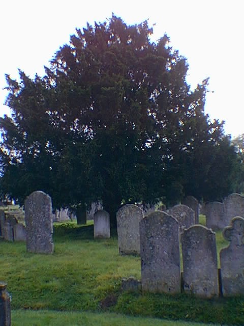 Charles and Sarah BAVERSTOCK grave - Godalming Churchyard
