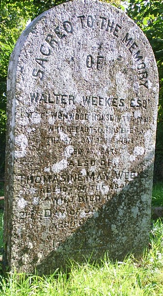 Walter and Thomasine WEEKES grave Sydenham Damerel